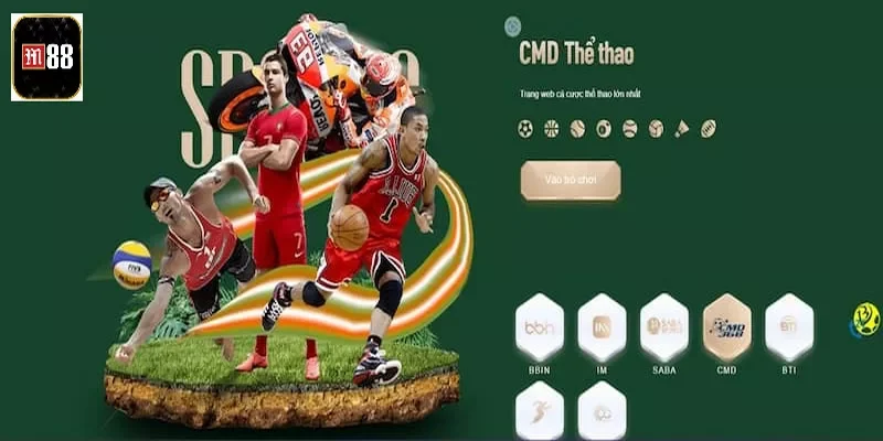 Tennis là bộ môn đẳng cấp nhất nhì CMD thể thao 